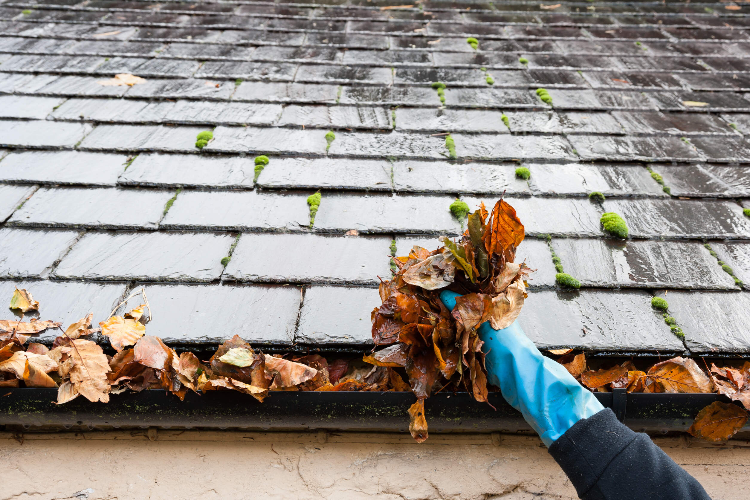Tips to Keep Your Roof and Gutters Clean During Autumn 2, Outdoor Cleaning Specialists